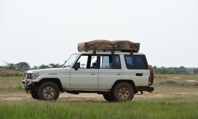 Land Cruiser Box Model 70